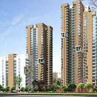 Semi Furnished 4bhk Apartment For Rent In Sector 61 Gurgaon At Pioneer Park